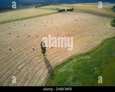 Aerial agriculture and rural farming landscape showing hay bales, crop patterns and lone tree, with green paddock, central Victoria, Australia.