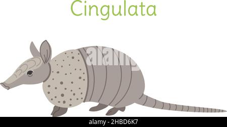 the cingulata is standing. Australian bird in a simple style. Flat vector illustration isolated on white background. Stock Vector