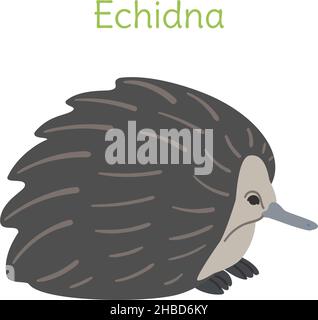 the echidna is standing. Australian bird in a simple style. Flat vector illustration isolated on white background. Stock Vector