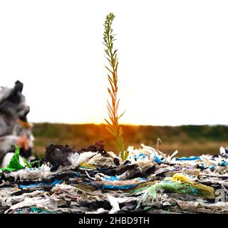 Minsk, Belarus - June 6, 2019. A pile of pressed tetrapack cans at a waste recycling plant. Green plant growing on plastic waste. Stock Photo