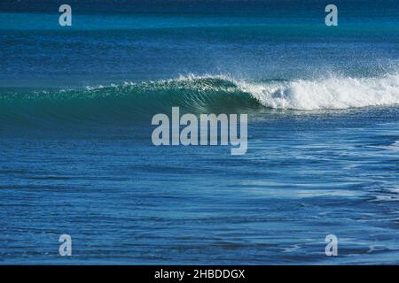 Single sea wave curls in calm water Stock Photo