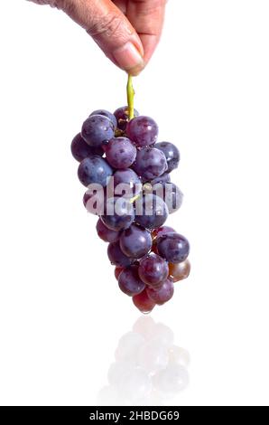 tasty grapes in hand on an isolated white background. Stock Photo