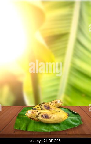 A Yellow banana on top of a green banana leaf on the table against the backdrop of a beautiful sunny banana tree Stock Photo