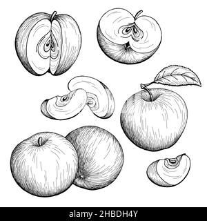 Apple graphic black white isolated sketch illustration vector Stock Vector