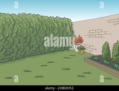 Backyard garden graphic color sketch illustration vector Stock Vector