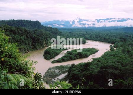 Napo River - a tributary of the Amazon and Rainforest, Ecuador Stock Photo
