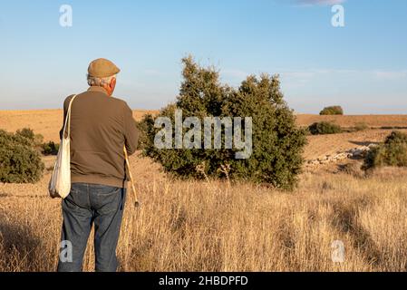 Madrid, Spain - October 20 2021: Shepherd looking at his sheep on the transhumance in Madrid Stock Photo