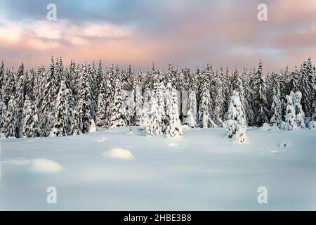 Colorful sunset over winter landscape with snow covered forest . Winter wonderland in Norway mountain area. Stock Photo