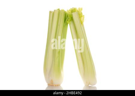 Two light green natural, juicy stalks of celery, close-up, isolated on white. Stock Photo