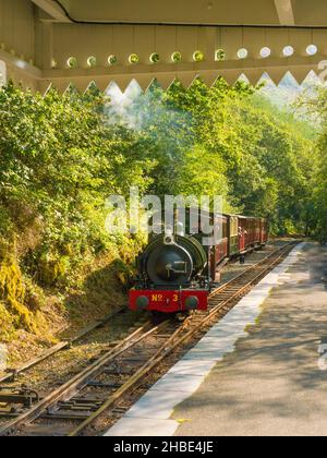 A train arrives at Abergynolwyn station on the The Talyllyn Railway, Gwynedd, Wales             The Talyllyn Railway is a narrow gauge preserved railw Stock Photo