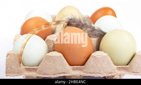 Cardboard package of multi-colored chicken eggs close-up. Organic chicken eggs isolated on a white background. Stock Photo