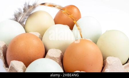 Packaging with organic chicken eggs isolated on a white background. Multicolored farm eggs close-up. Stock Photo