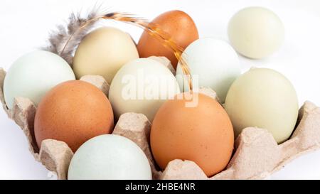 Organic farm chicken eggs in a cardboard box close-up on white background. Colored eggs lie in a packaging with cells with a bird feather. Organic far Stock Photo