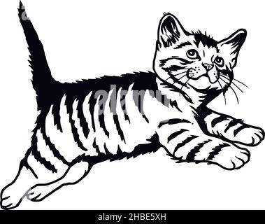 Cat, Peeking kitten - Cheerful kitty isolated on white - vector stock illustration Stock Vector