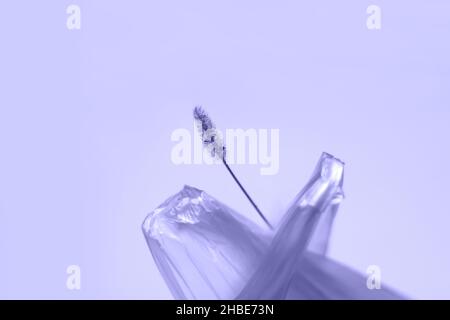 DEFOCUS. Save the planet. A dry blade of grass sticks out. Ecological problems. Blur cellophane bag handles. Minimalistic concept. Color of the year 2 Stock Photo