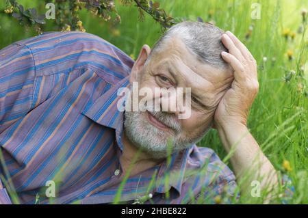 Portrait of bearded Caucasian senior man lying in spring fresh grass under Barberry shrub Stock Photo