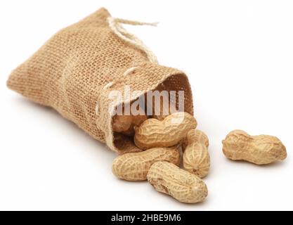 Fresh Peanuts in sack over white background Stock Photo