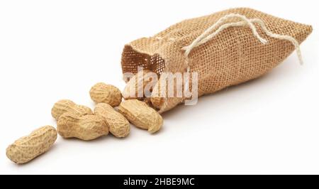 Fresh Peanuts in sack over white background Stock Photo