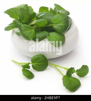 Fresh organic watercress over white background Stock Photo