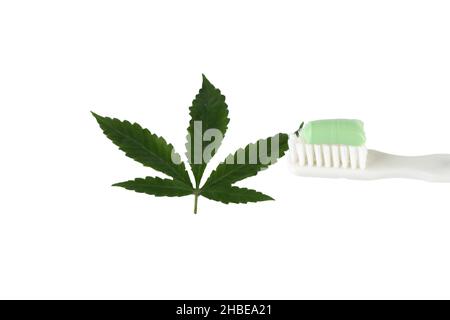 Soft focus on a toothbrush with green toothpaste. Blurred marijuana leaf on a white background. Focus on toothpaste. Stock Photo