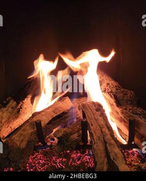 Apparition of flame dancers in the fireplace with wooden logs Stock Photo