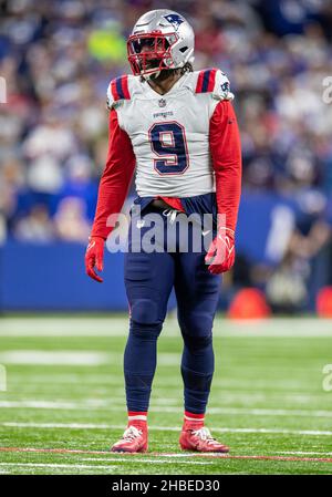 New England Patriots linebacker Matthew Judon (9) celebrates during an NFL  football game between the Indianapolis Colts and the New England Patriots,  Sunday, Nov. 6, 2022, in Foxborough, Mass. (AP Photo/Michael Dwyer