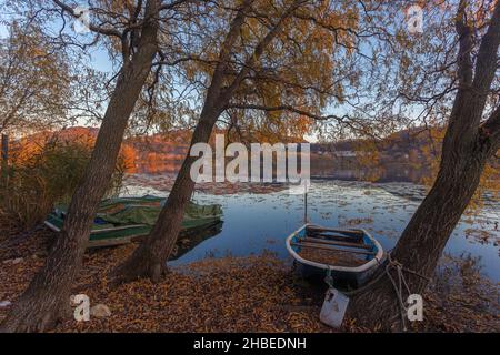 Old boats moored to trees on the shore of a lake during an autumn sunset Stock Photo