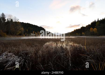 Picture of the peat bog in Piangembro in autumn. Stock Photo