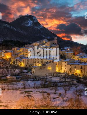 Apennine wolf in italy, Abruzzo Stock Photo - Alamy