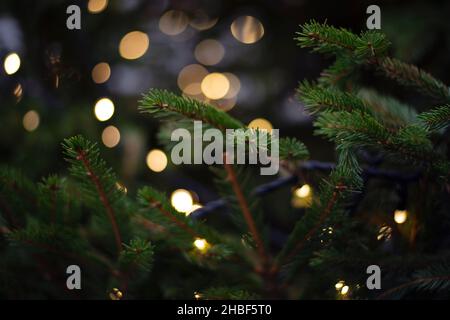 Christmas tree with soft blurry lights Stock Photo