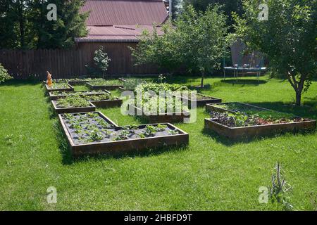 The bed with strawberries is covered with a black cloth. Modern gardening methods. High quality photo Stock Photo