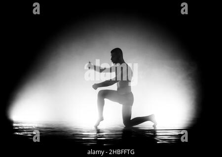 modern ballet dancer performing. motion blur and smoke in the air Stock Photo