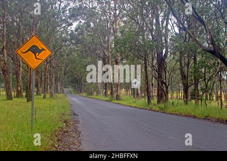 Road in the Hunter Valley Stock Photo