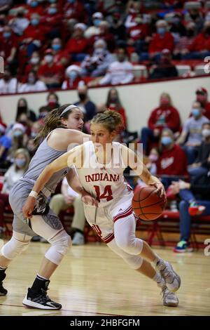 BLOOMINGTON, UNITED STATES - 2021/12/19: Indiana Hoosiers guard Ali Patberg (14) drives against Western Michigan University during an NCAA women's basketball game on December 19, 2021 at Assembly Hall in Bloomington, Ind. IU beat Western Michigan 67-57. Stock Photo
