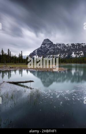 Mount Chephren reflecting in a pond near the Waterfowl Lakes on an overcast day in Banff National Park. Stock Photo