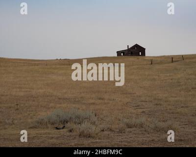 An old, abandoned, rundown wood house on the horizon with a cloudless sky behind and a field with dried grass and sagebrush in the foreground. Image h Stock Photo