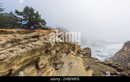 Whimsical sandstone formations at Pacific Coast, Shore Acres State Park, Oregon, USA Stock Photo