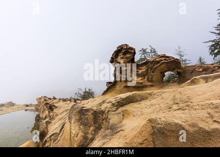 Whimsical sandstone formations at Pacific Coast, Shore Acres State Park, Oregon, USA Stock Photo