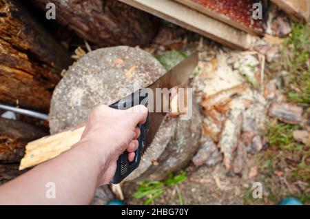 The man is cutting the wood by saw. Preparation of firewood for the winter Stock Photo