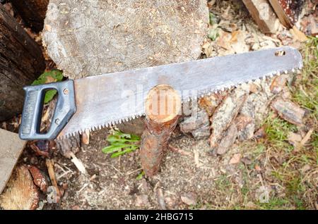 Saw for cutting wood. Preparation of firewood for the winter Stock Photo