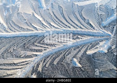 Beautiful structures formed by hoarfrost Stock Photo