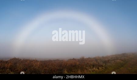 Fogbow or Fog bow, Scotland, UK Stock Photo