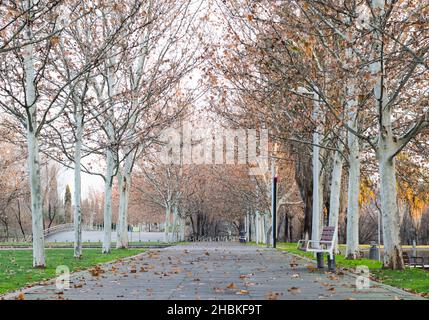 romantic and modern lineal del manzanares park in madrid in autumn time Stock Photo