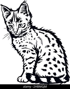 Cat, Peeking kitten - Cheerful kitty isolated on white - vector stock illustration Stock Vector