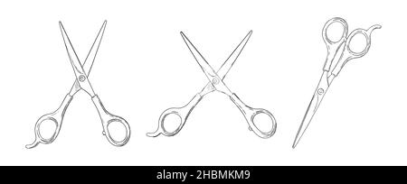 Scissors set. Hairdresser shears tool. Vector illustration isolated in white background Stock Vector