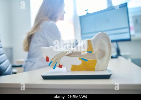 Human ear model on table and woman sitting behind Stock Photo