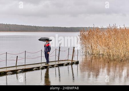 Asian man walking under umbrella on wooden pier on autumn rainy gray day over of backdrop of lake and forest. Stock Photo