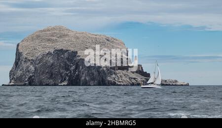 Sailboat or yacht sailing past Bass Rock island gannet seabird nature reserve colony, Forth of Forth, Scotland, UK Stock Photo
