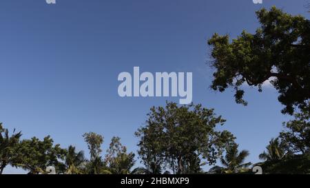 Beautiful nature. And the backdrop of the blue sky. Stock Photo