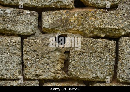 Shell rock wall, stone background close up Stock Photo